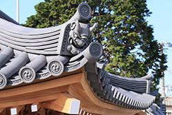 兵庫 長松寺 観音堂 - 3