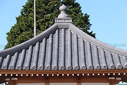 兵庫 長松寺 観音堂 - 5