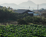 香川農家住宅-4