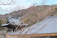 鳴門市 東林院 - 4