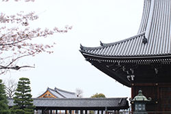 京都 知恩院 法務棟-6